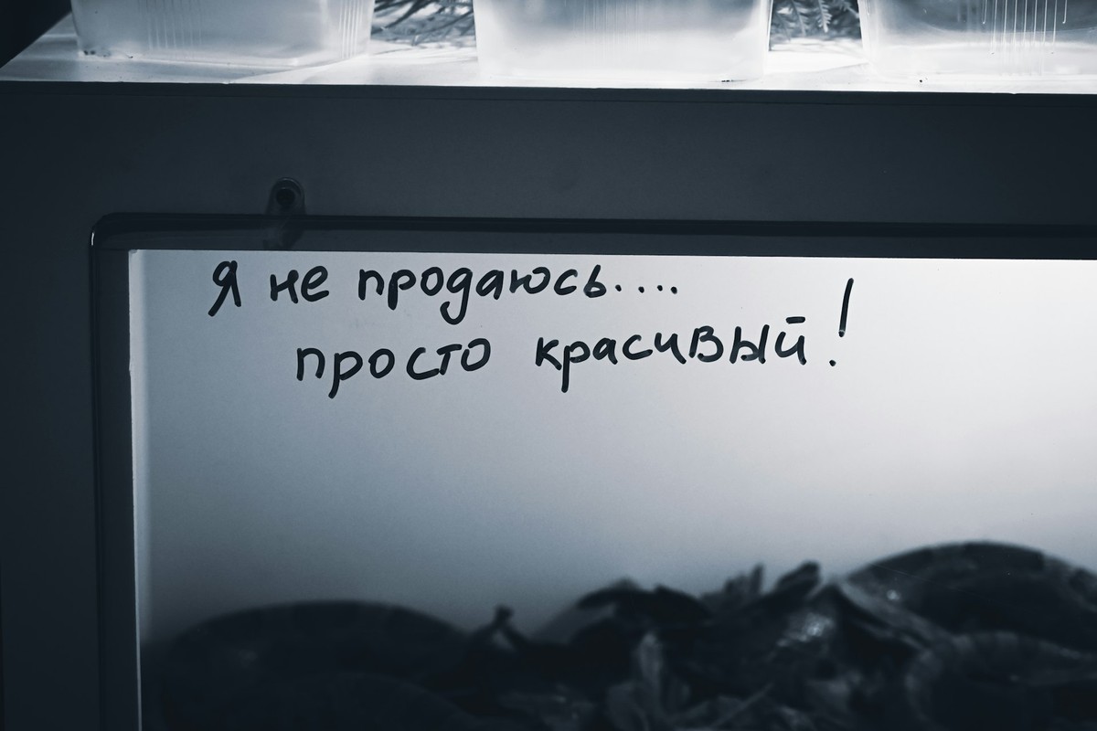 Андрій Шевченко